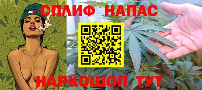 хмурый Гай