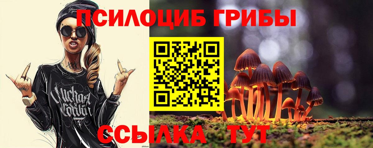 Псилоцибиновые грибы мицелий Самара
